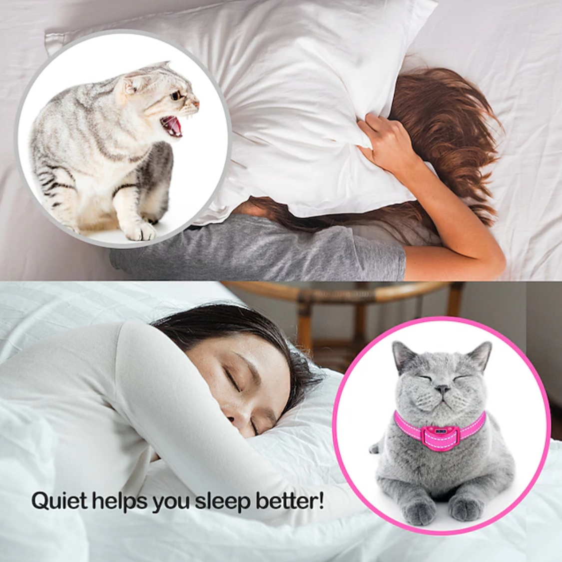Barre d'arrêt pour chat rose pour empêcher les chats de miauler 5 niveaux d'entraînement progressif - sûr et réfléchissant